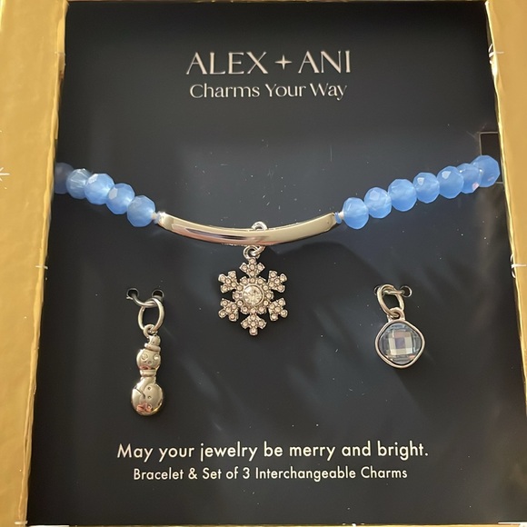 Alex and Ani Blue Bracelet Set - Picture 2 of 6